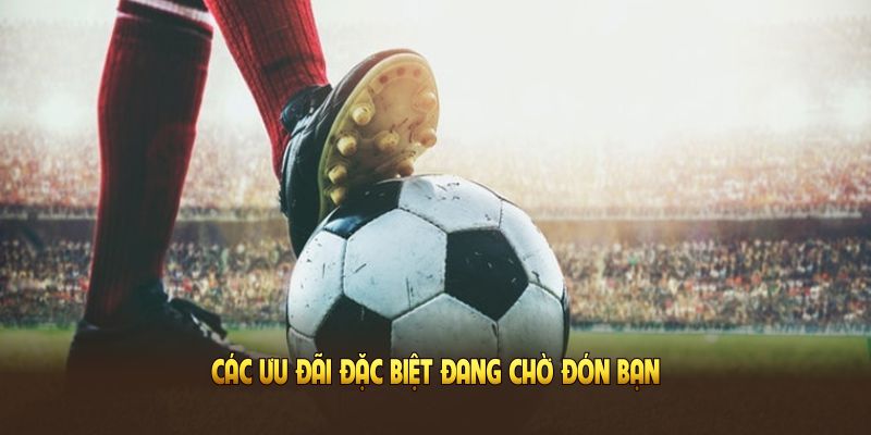 Các ưu đãi đặc biệt đang chờ đón bạn trong sảnh thể thao Dabet