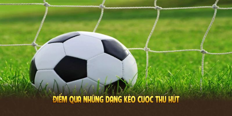 Điểm qua những dạng kèo cược thu hút người chơi nhất